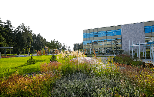 Комфорт и безопасность 1