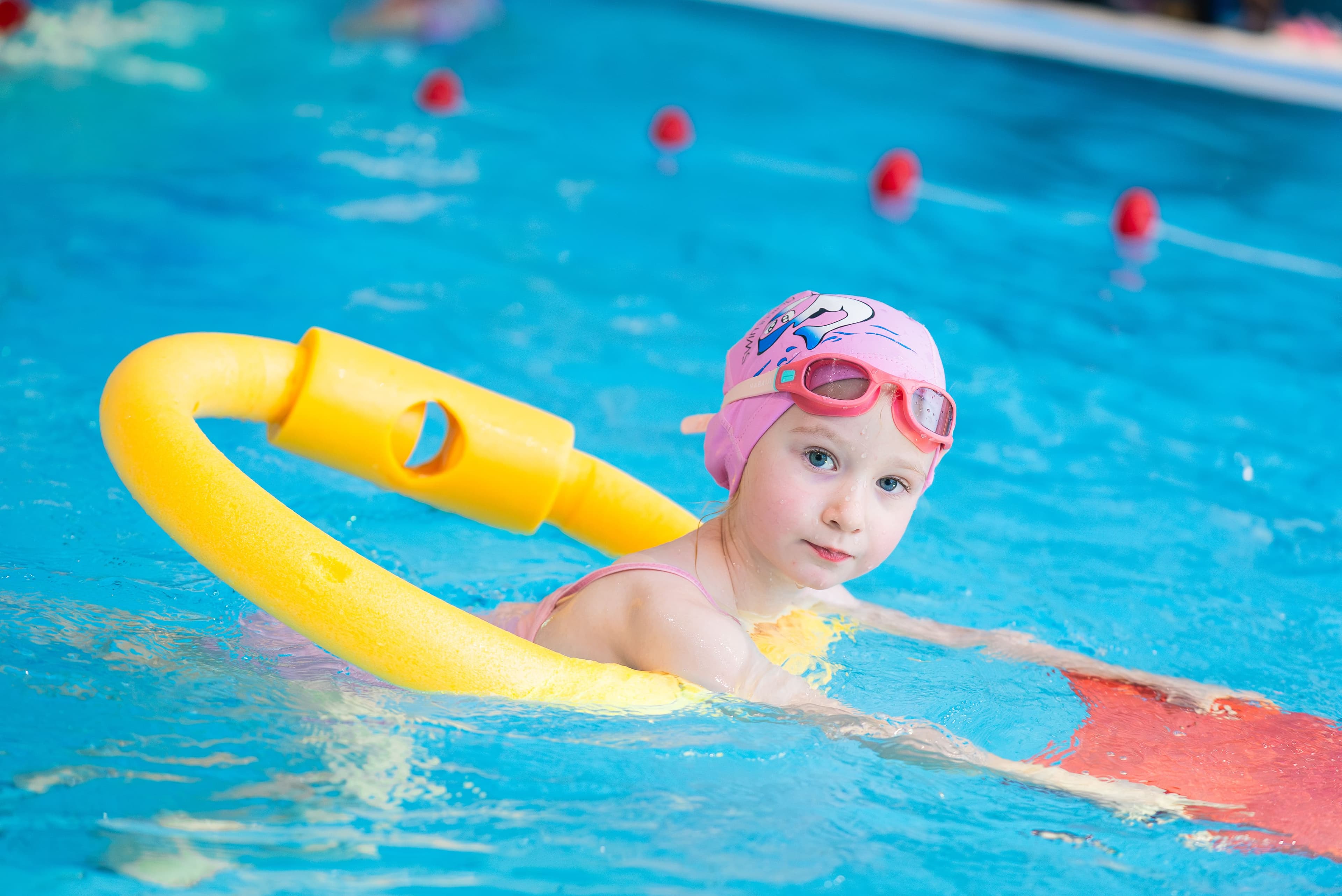 Морские котики